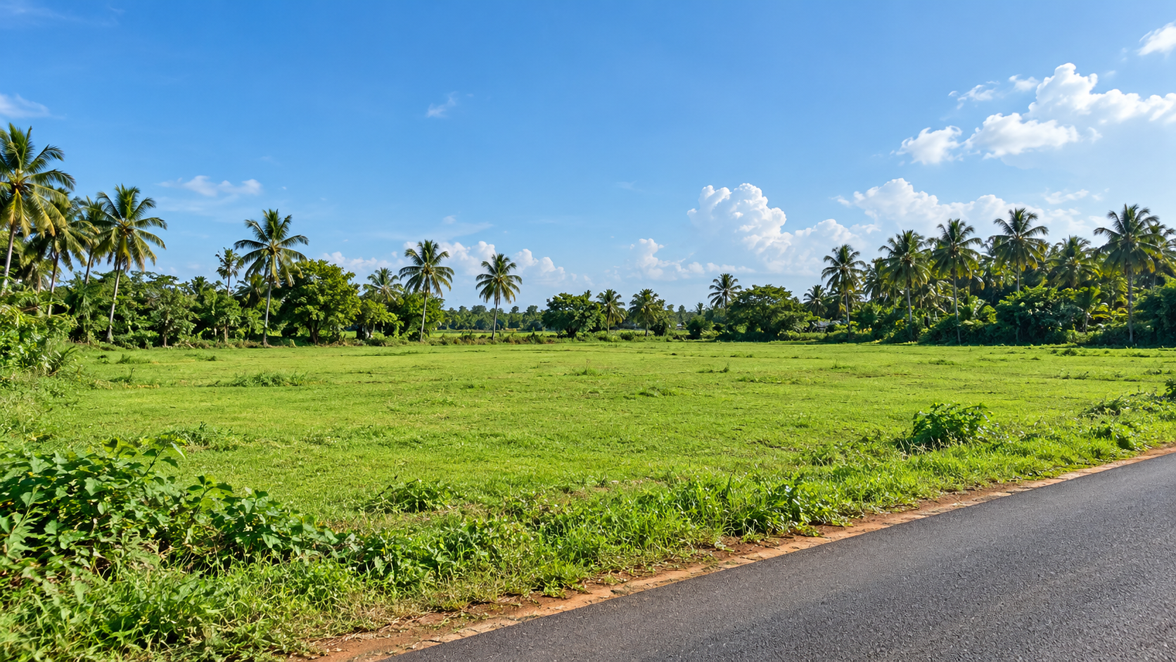 Illustrative landscape image